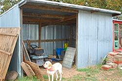 Raccoon Cabin