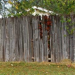 Fence